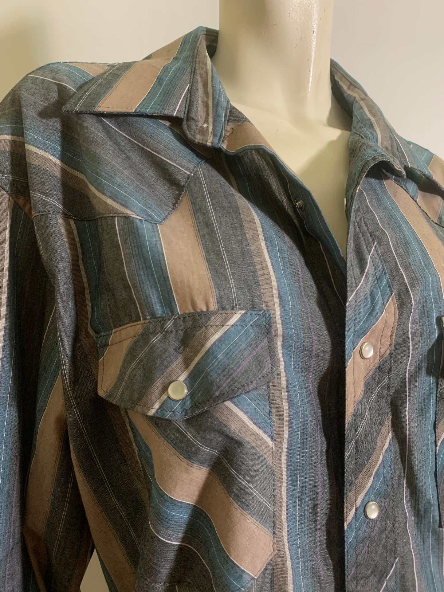 Tan and Blue Snap Front Men's Western Long Sleeved Shirt circa 1980s XL