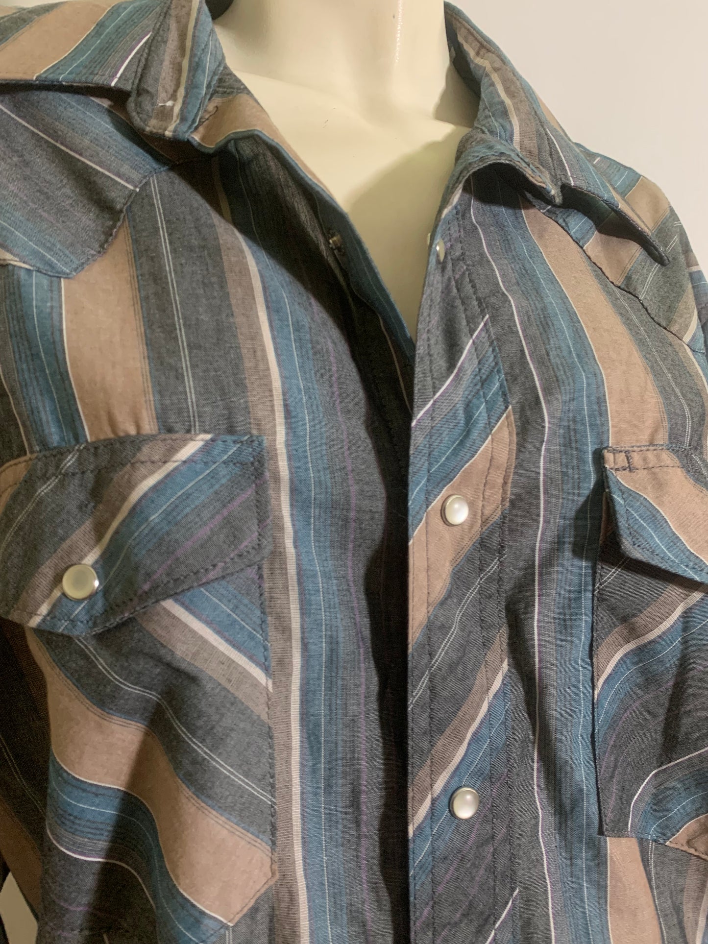 Tan and Blue Snap Front Men's Western Long Sleeved Shirt circa 1980s XL
