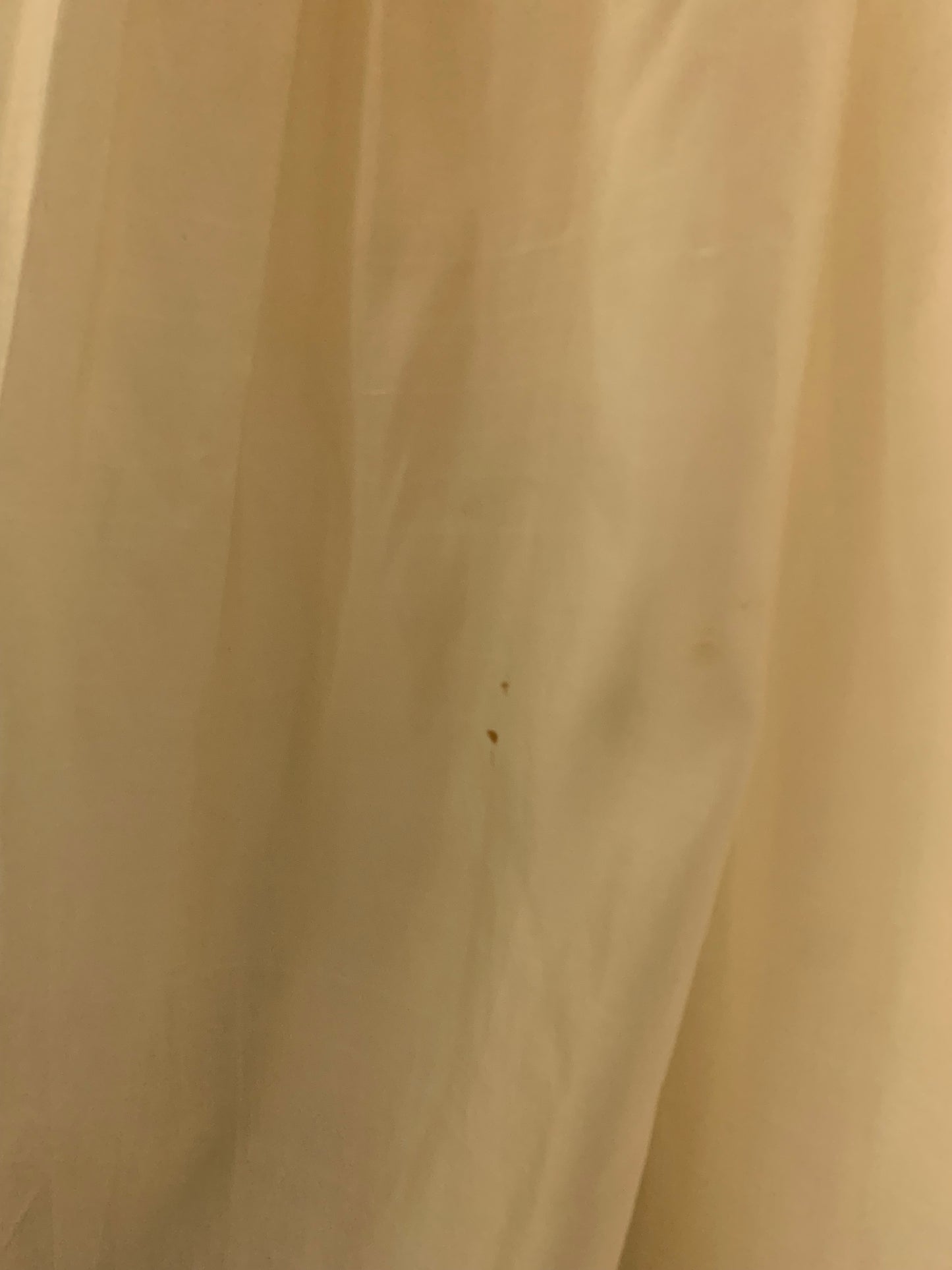 Ivory Organza Short Sleeved Sequined Wedding Dress Massive Skirt circa 1950s