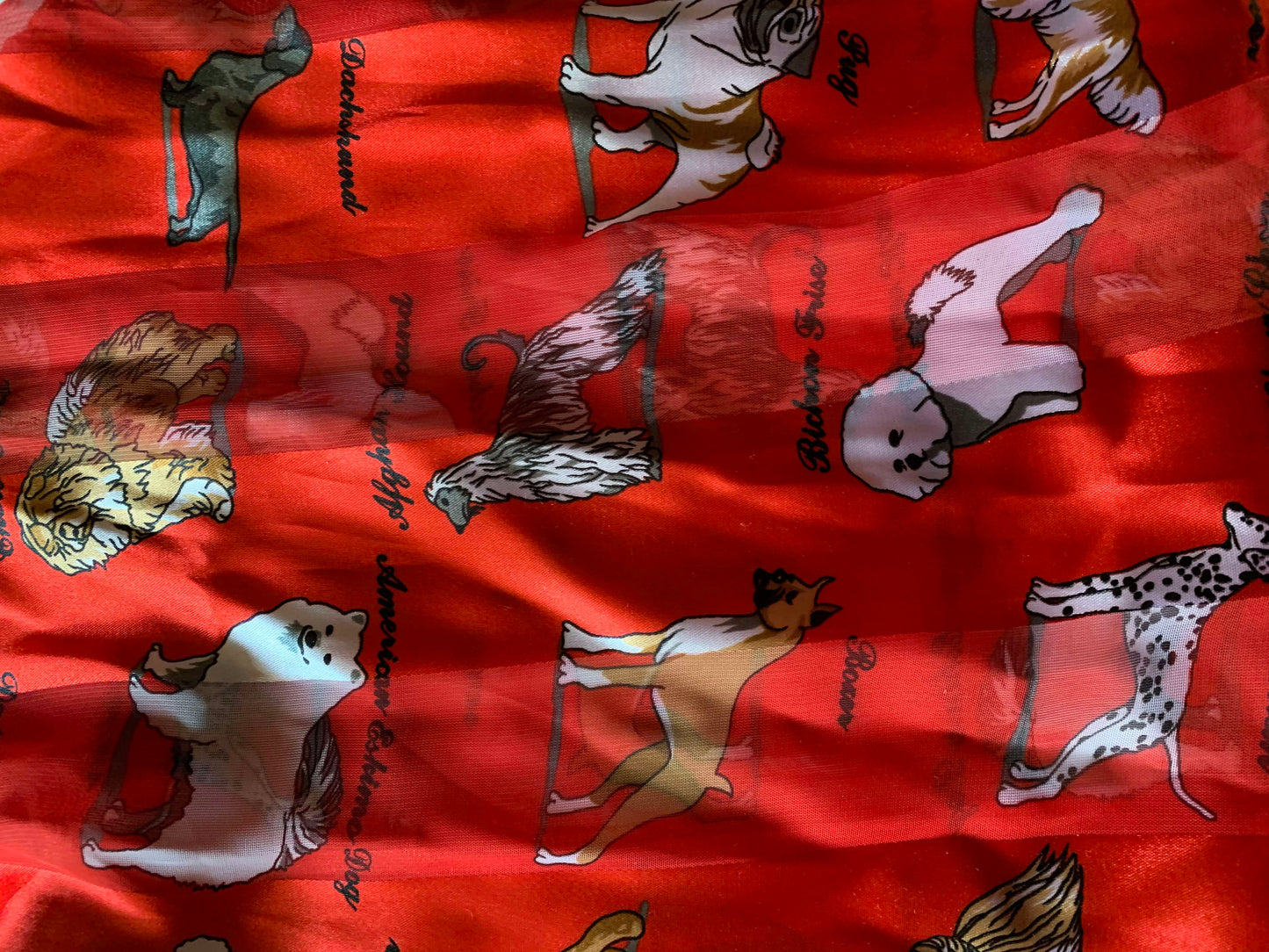 Bright Red Oblong Scarf with Dog Breed Novelty Print circa 1990s