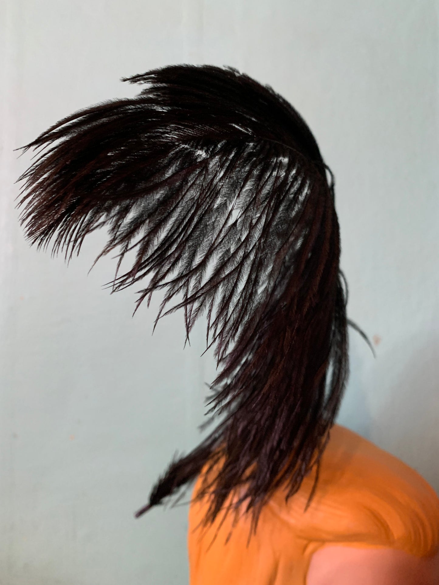 Ebony Black Striated Ostrich Feather Hair Piece circa 1890s