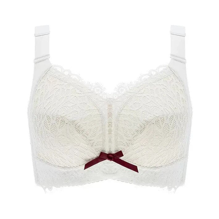 Busty- the Bust Lifting Lace Front Bra Plus Sizes