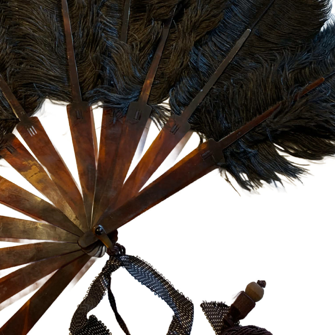 Onyx Black Curved Ostrich Feather Fan 15" circa 1920s