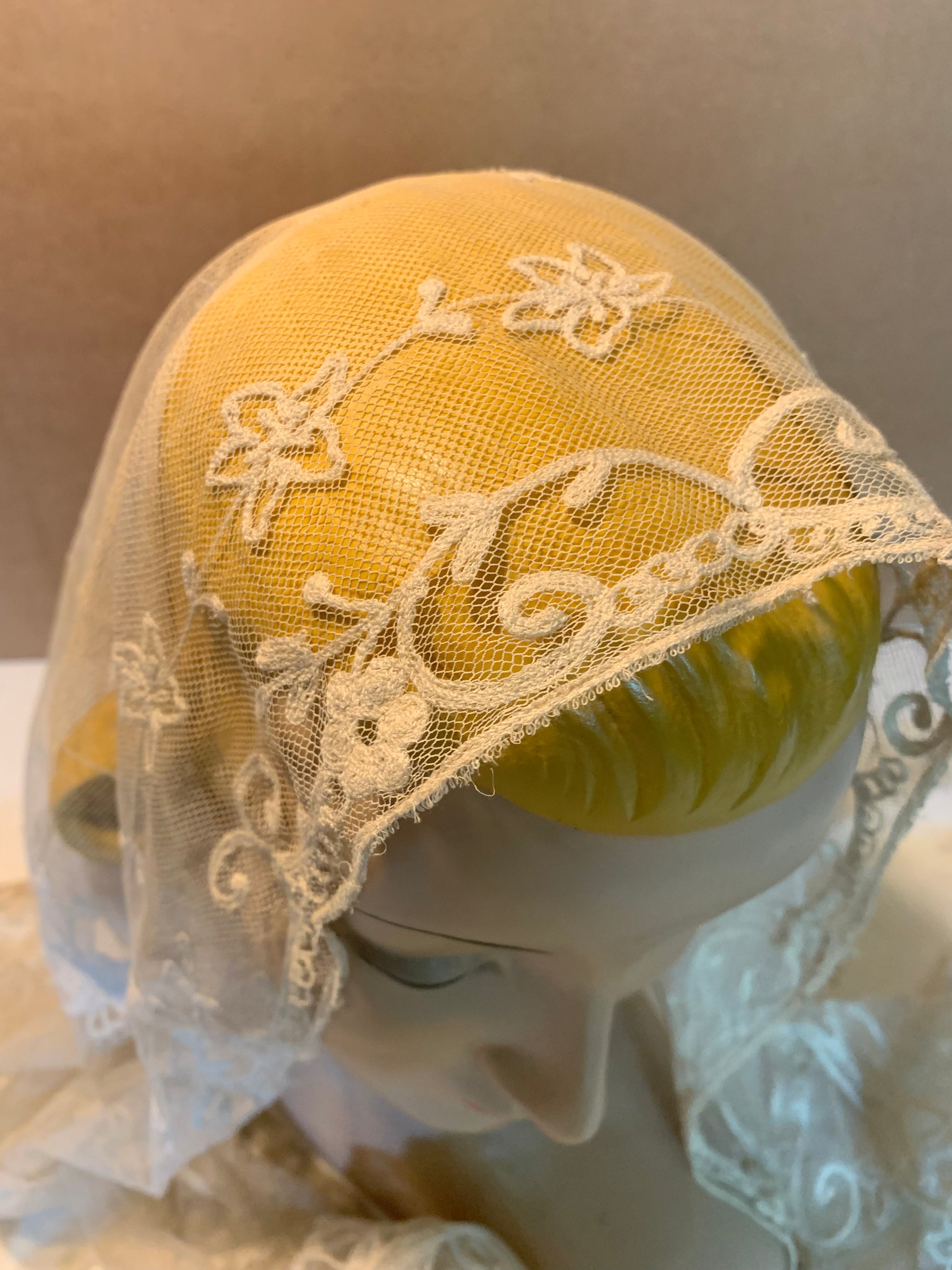 Soft Ivory Embroidered Mesh Lace Shawl or Head Piece circa 1800s –  Dorothea's Closet Vintage