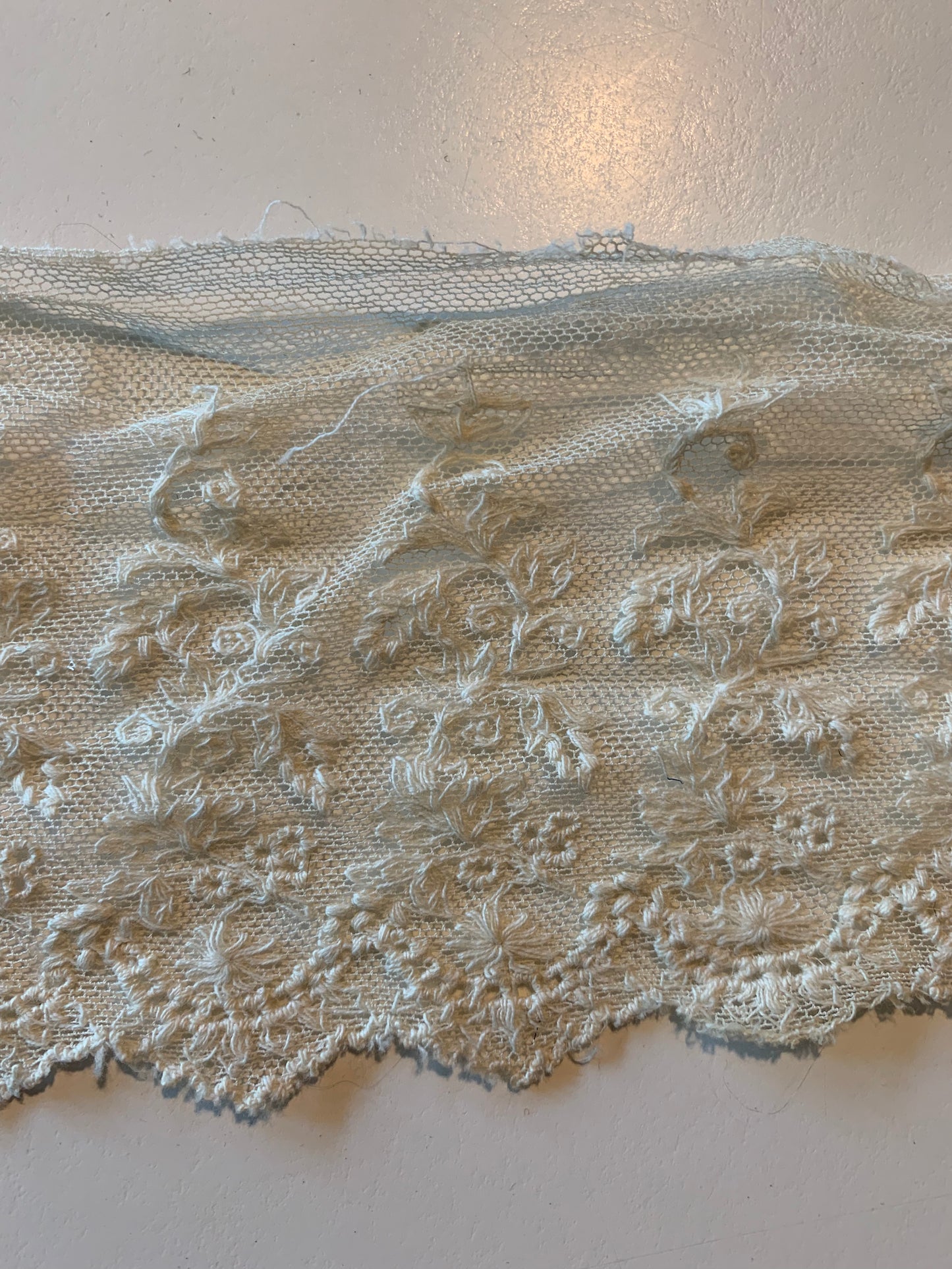 Embroidered Mesh Lace Ribbon Trim circa 1900
